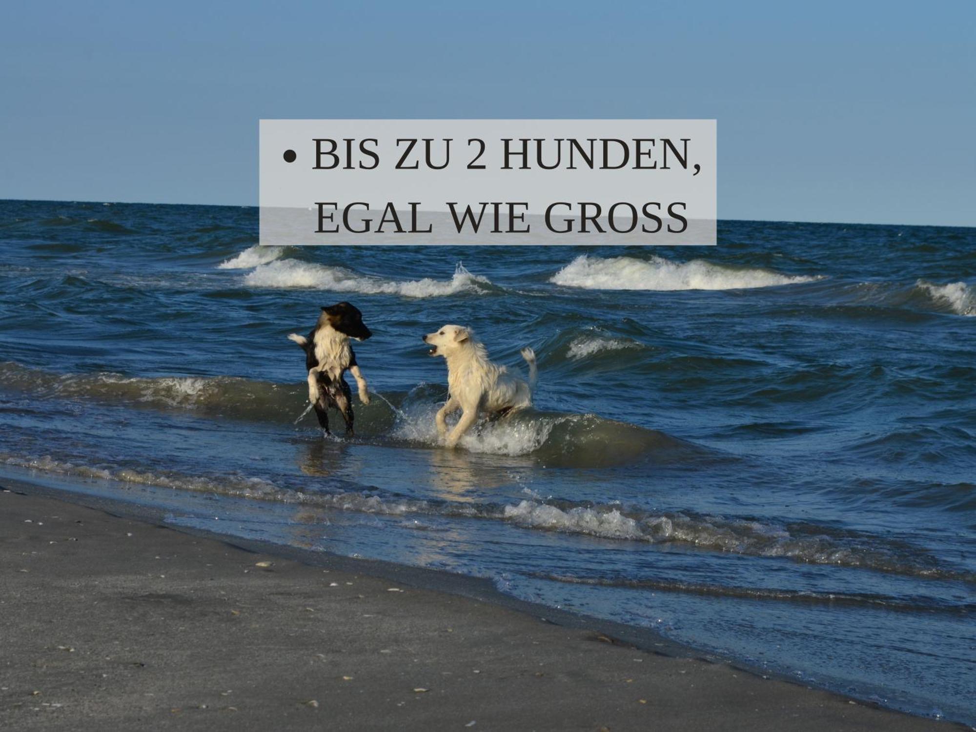 Haus Krabbe, Apartment 10, Naehe Bremerhaven, Fuer 1-2 Personen, 2 Schlafzimmer, Einzelbetten, Zweite Etage, Zentral Gelegen, Bis Zu 2 Hunden Kostenfrei Willkommen เวรเมิน ภายนอก รูปภาพ